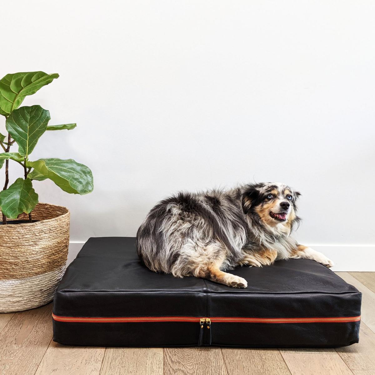Le Bed - Leather Dog Bed In Black | Medium | Le Dog Company – image 2