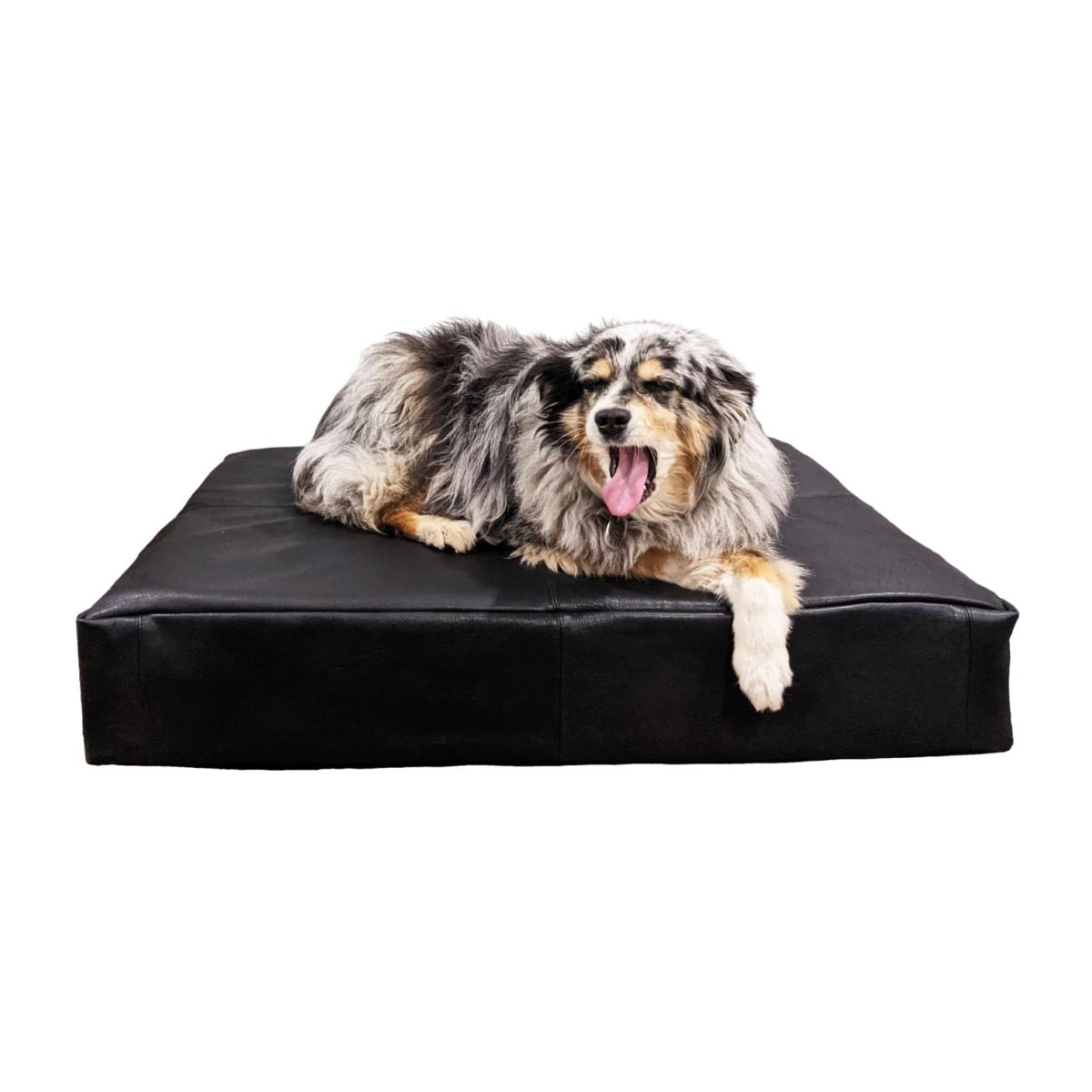 Le Bed - Leather Dog Bed In Black | Medium | Le Dog Company – image 1