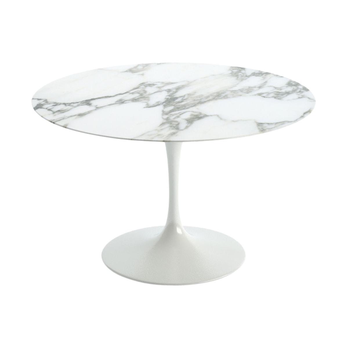 Knoll Saarinen Dining Table with White Base in Verdi Alpi 244cm – image 8