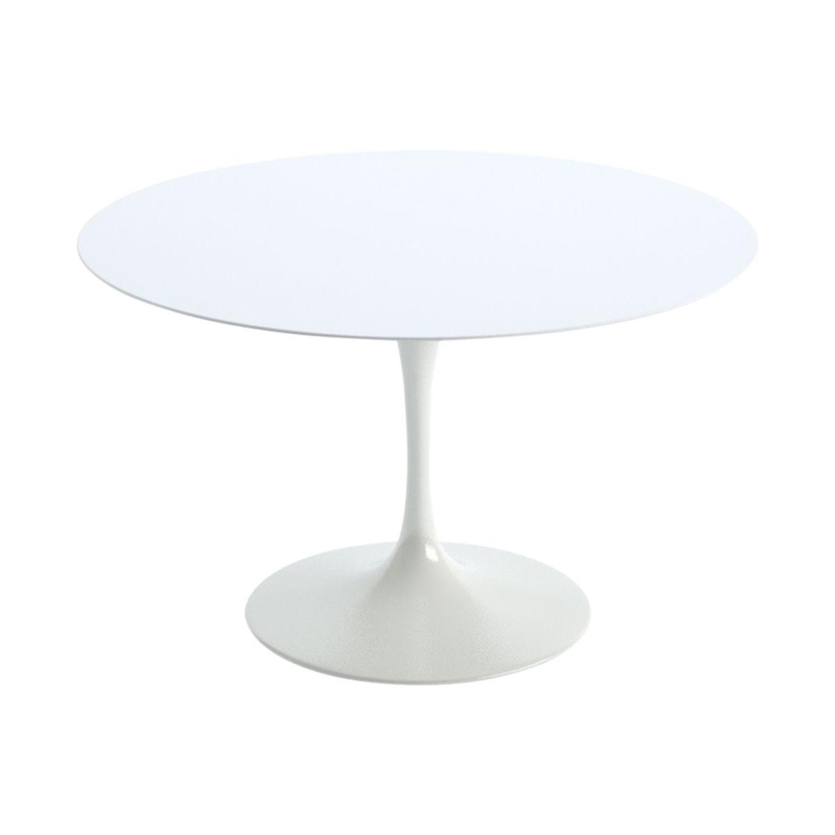 Knoll Saarinen Dining Table with White Base in Verdi Alpi 244cm – image 9