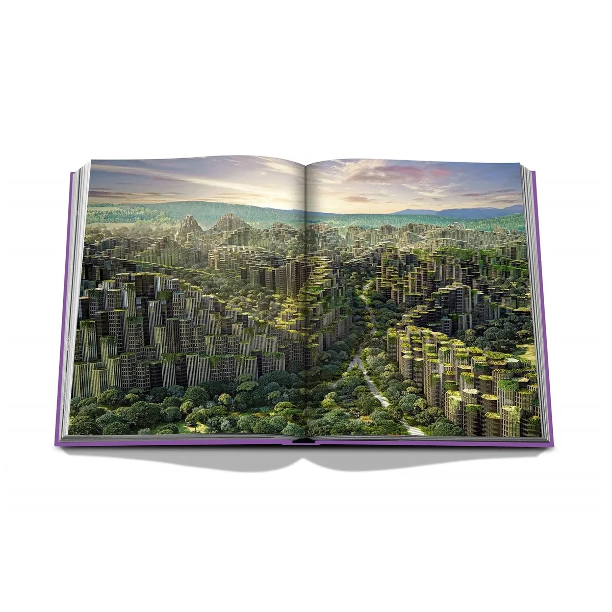 Dream Coffee Table Book – image 11