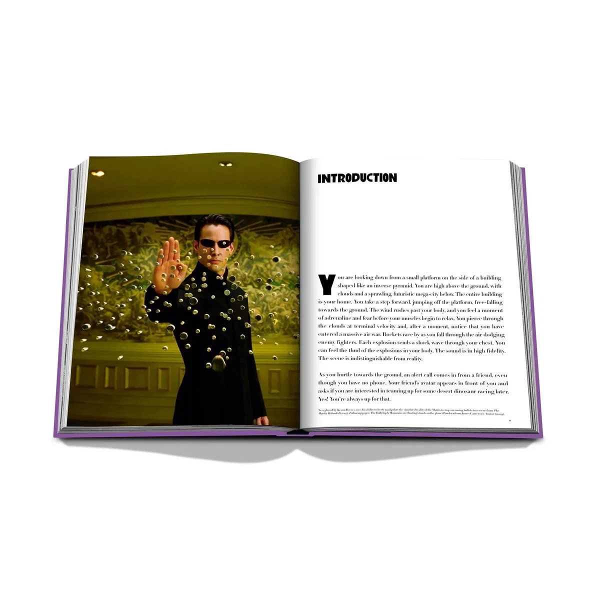 Dream Coffee Table Book – image 15