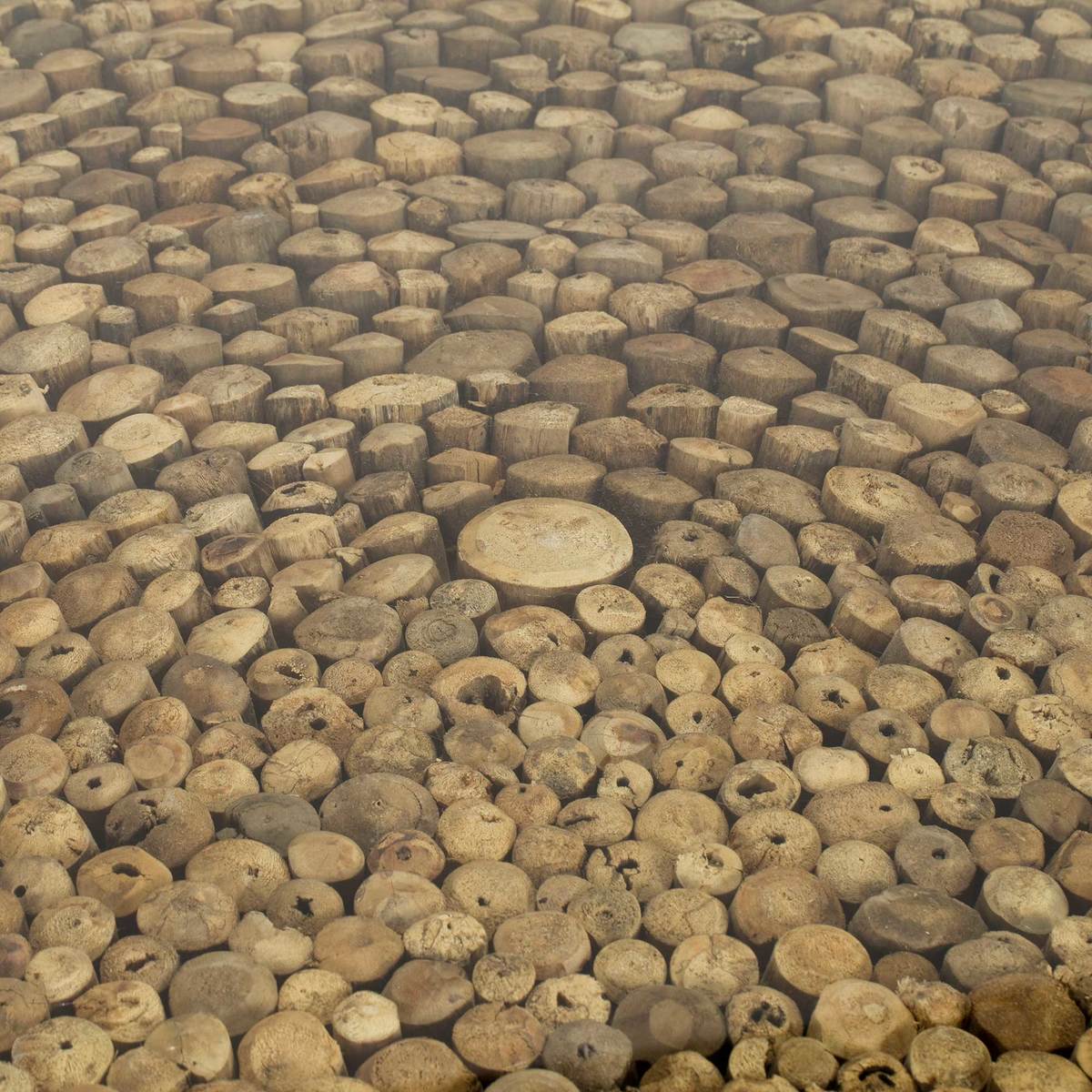 Caspian Avant Garde Driftwood and Glass Square Coffee Table – image 7