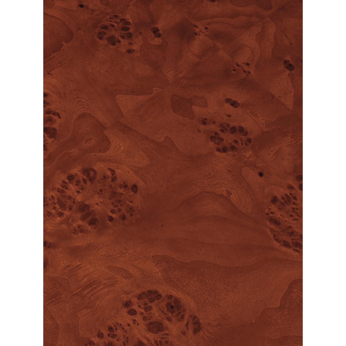 Ferm Living Burl storage coffee table 70x70 cm Dark stained burl – image 8