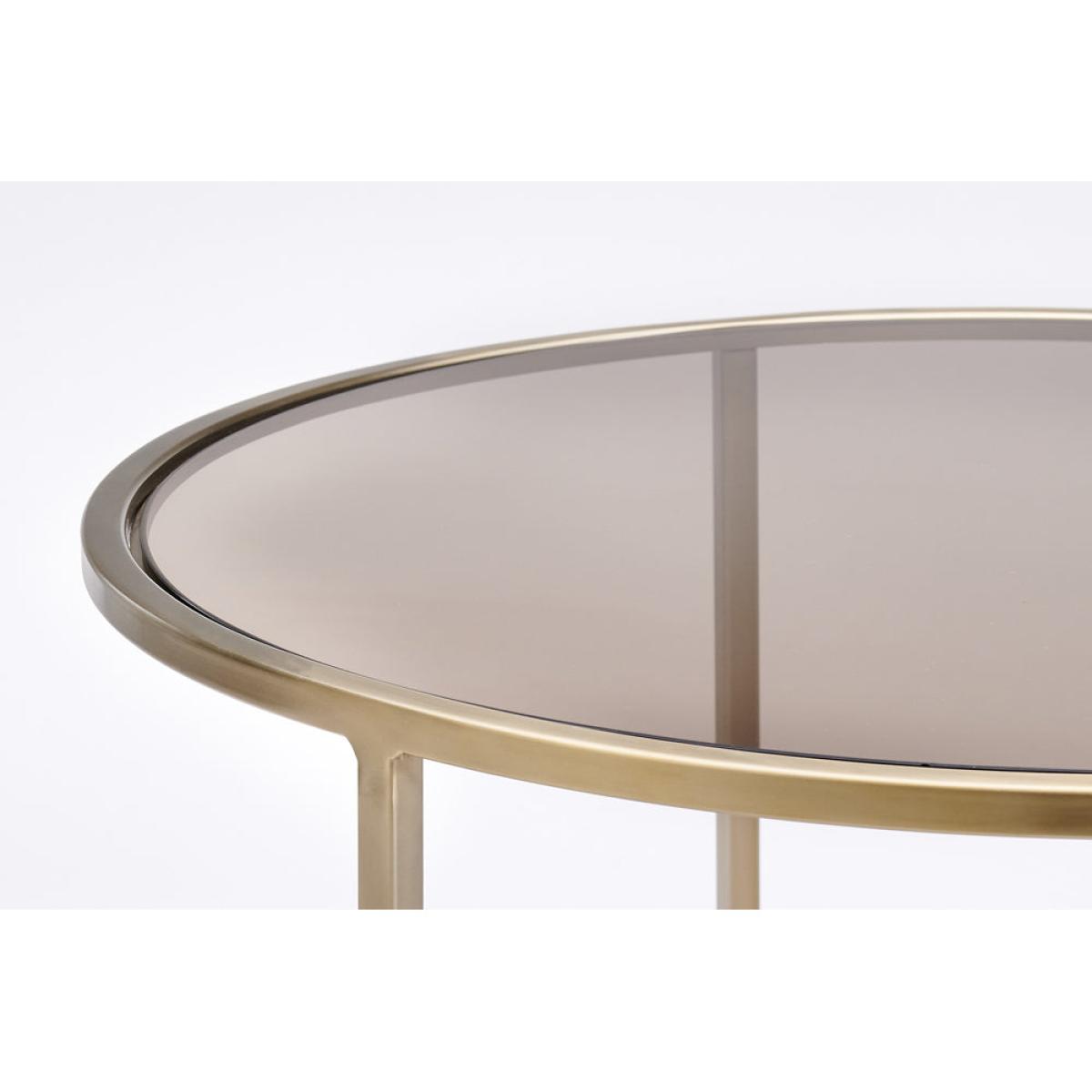 Light & Living Set of 2 Duarte Coffee Table Brown And Gold – image 2