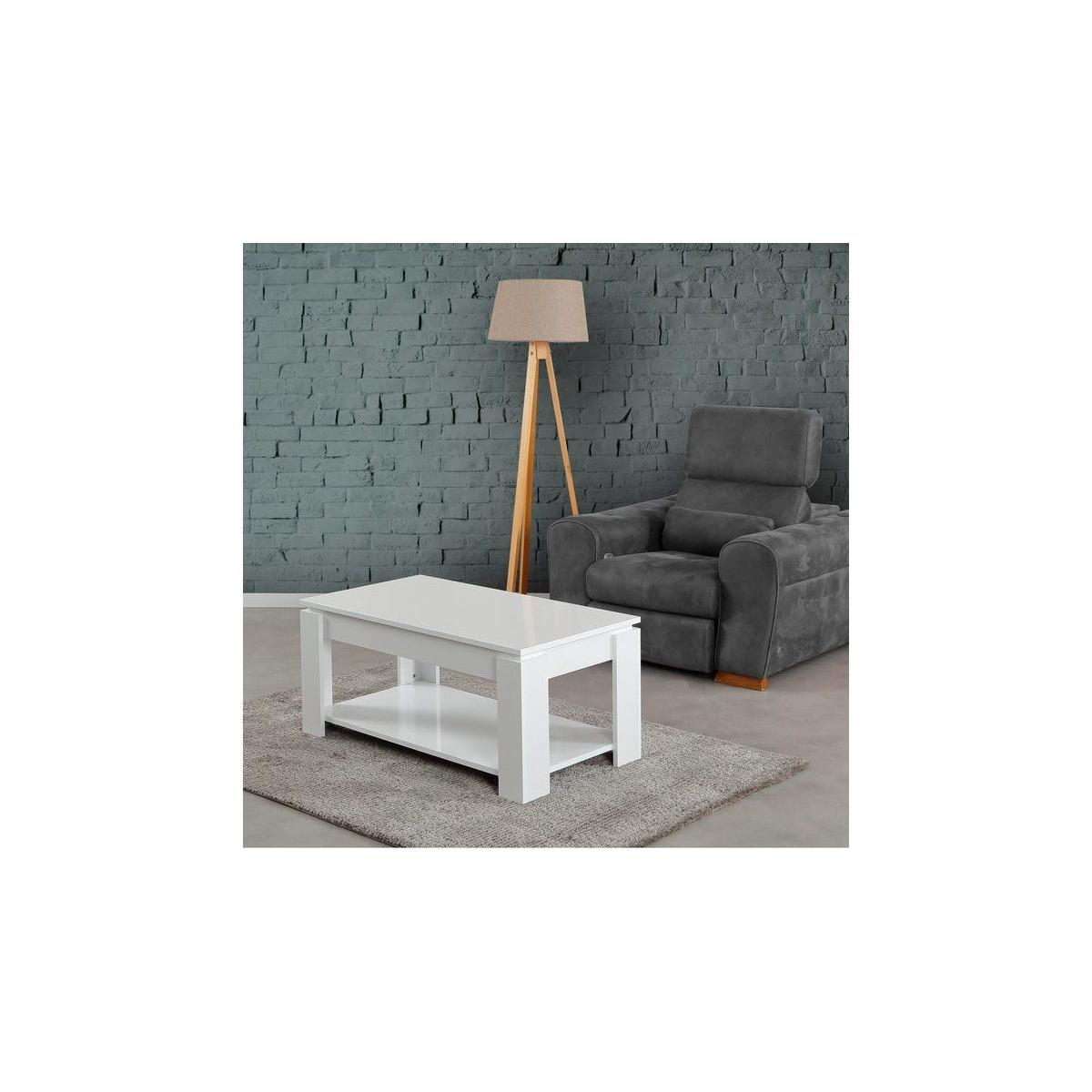 Shelf Coffee Table – image 3