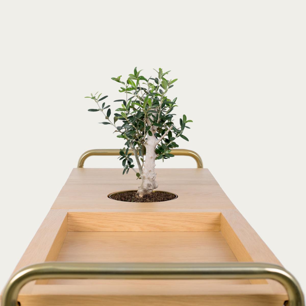 Jericho Console Table – image 4