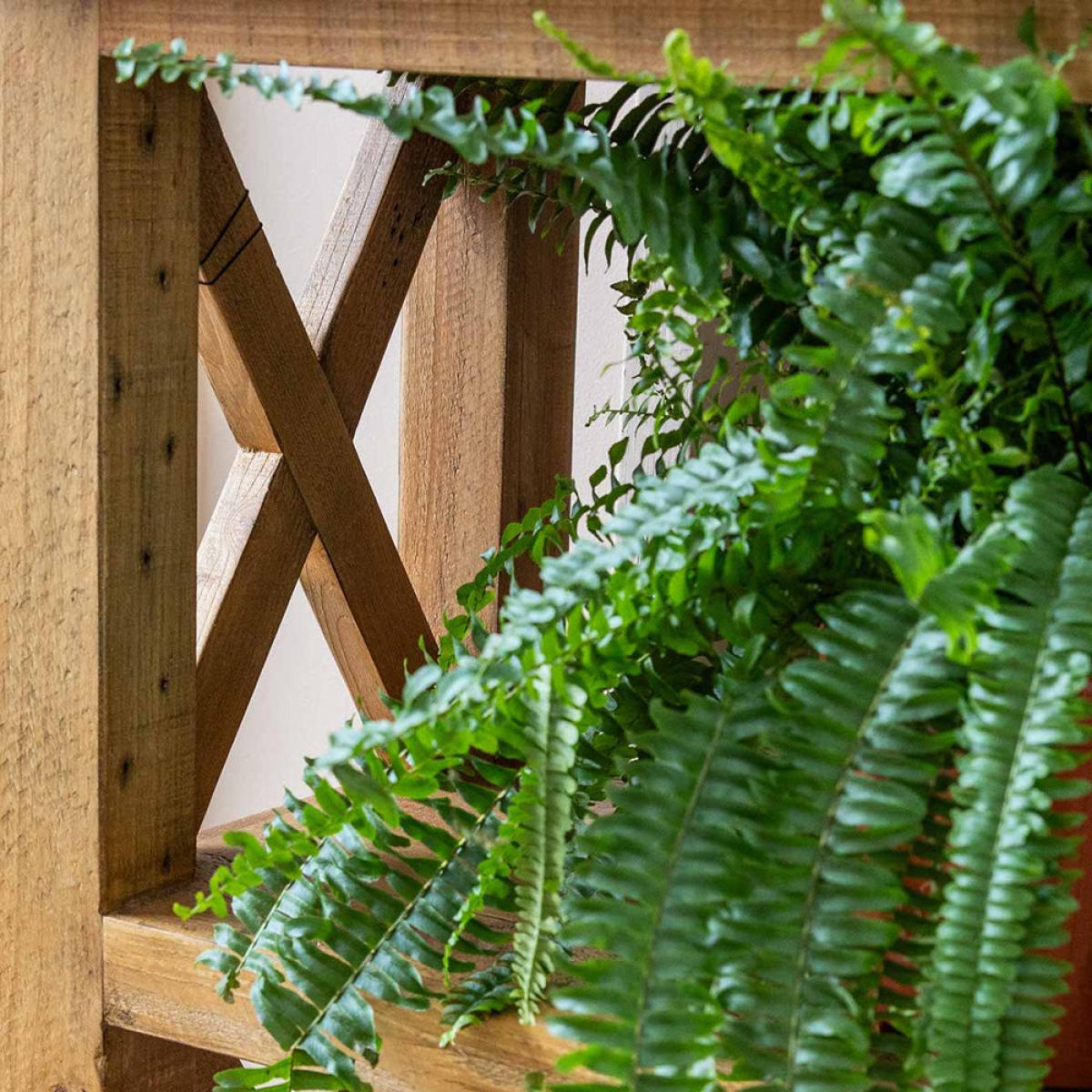 Garden Trading Oxhill Console Table Natural – image 4