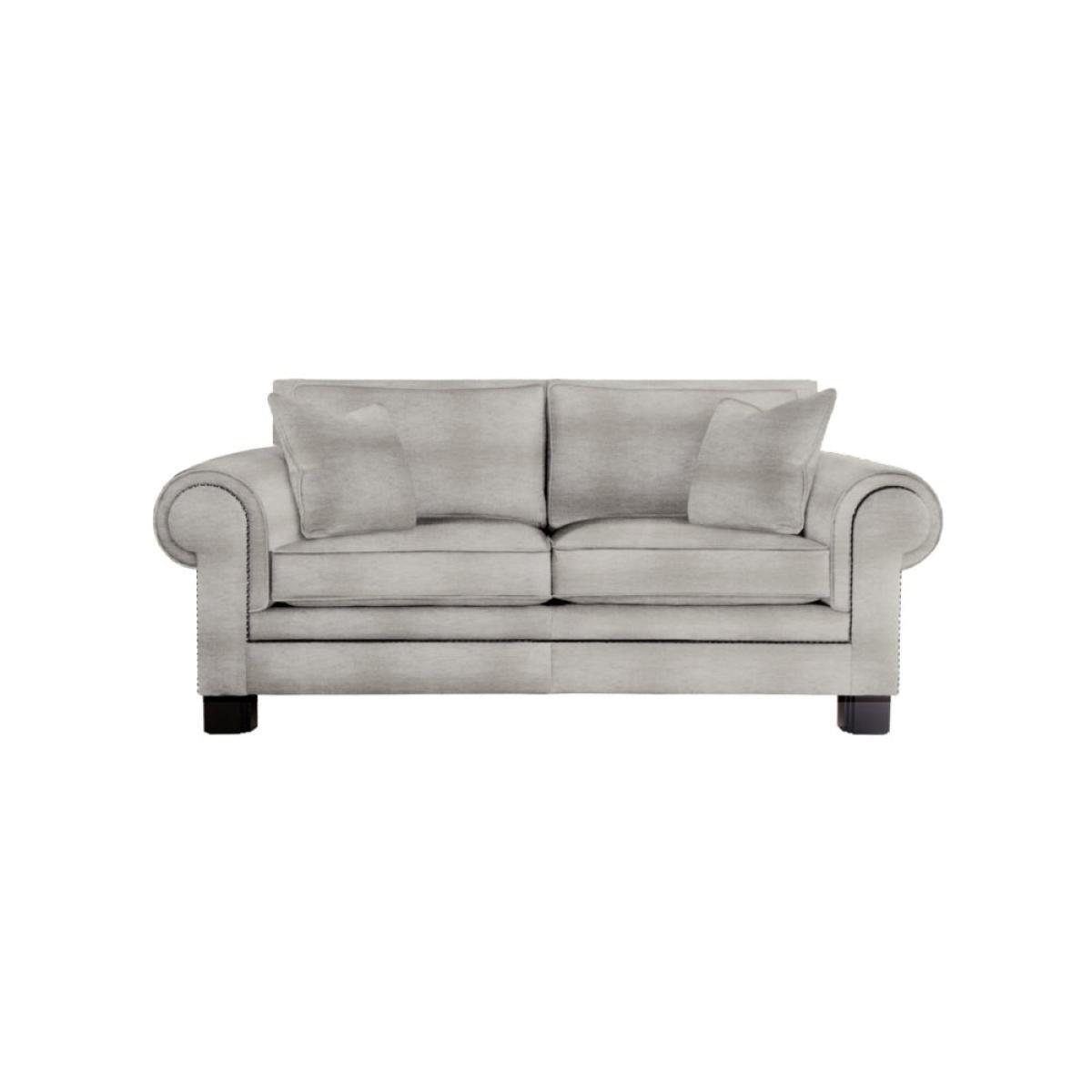 Duresta Coco Monarch Small Sofa / Steel – image 4