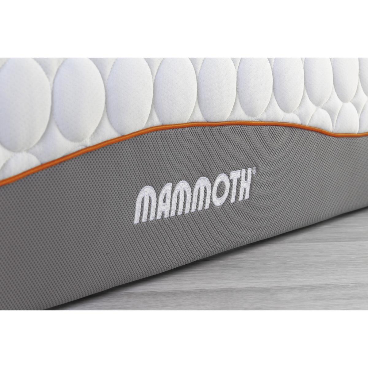 Rise Plus Firm Foam Core Mattress – image 6
