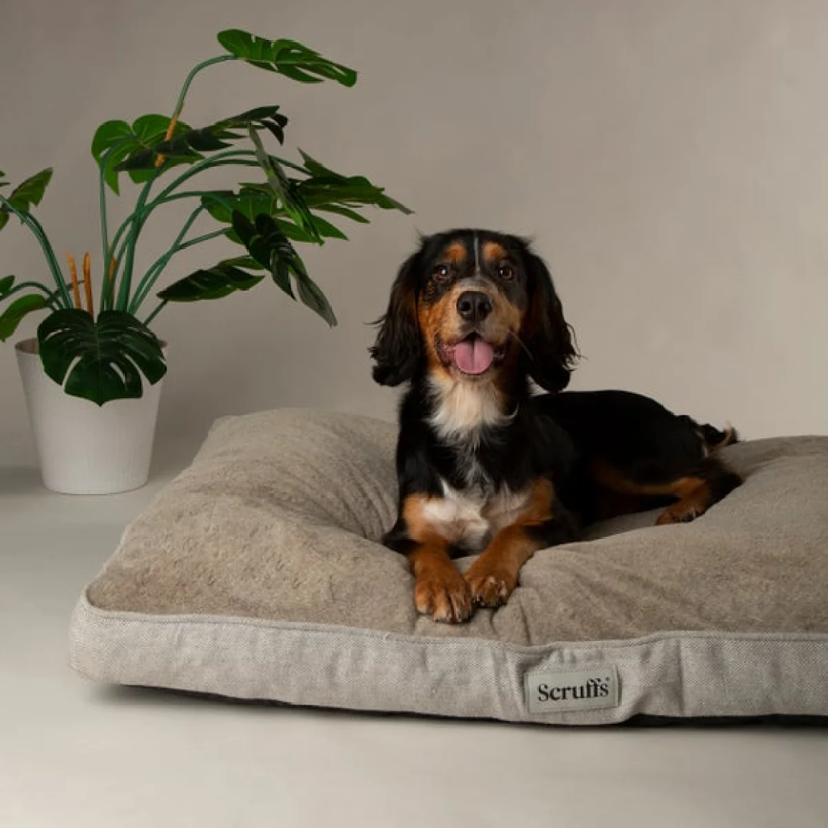 Scruffs Harvard Memory Foam Orthopaedic Mattress Pearl (Ivory) – image 2