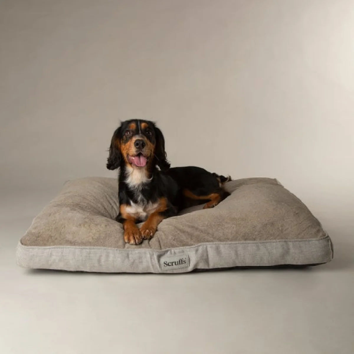 Scruffs Harvard Memory Foam Orthopaedic Mattress Pearl (Ivory) – image 1
