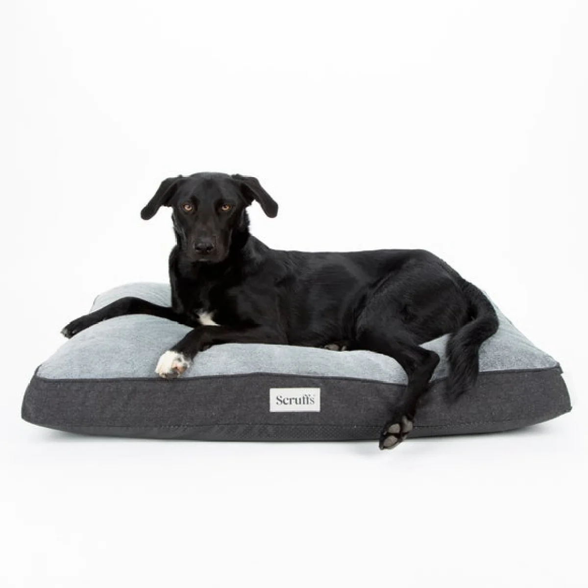 Scruffs Harvard Memory Foam Orthopaedic Mattress Graphite (Grey) – image 3