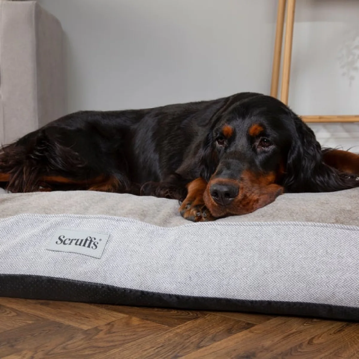 Scruffs Harvard Memory Foam Orthopaedic Mattress Pearl (Ivory) – image 2