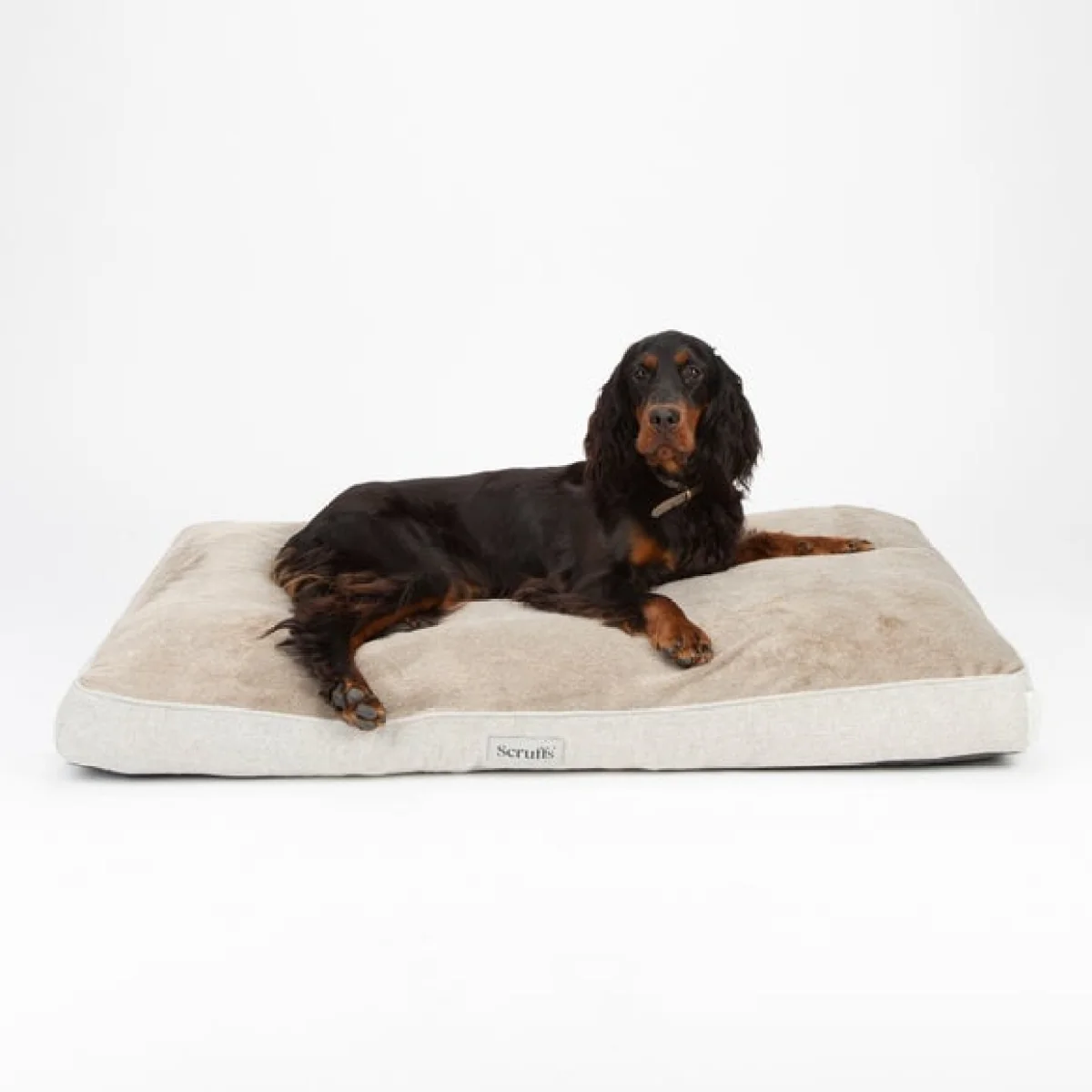 Scruffs Harvard Memory Foam Orthopaedic Mattress Pearl (Ivory) – image 3