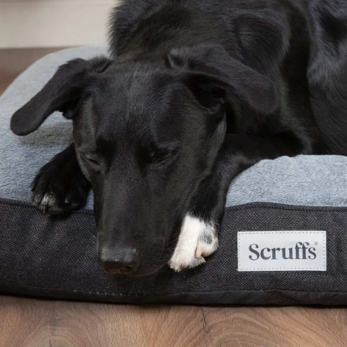 Scruffs Harvard Memory Foam Orthopaedic Mattress Graphite (Grey) – image 2