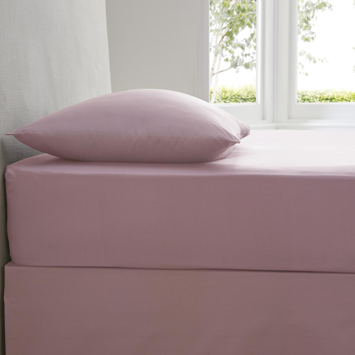 Plain Dyed Fitted Sheet - Blue / King – image 11