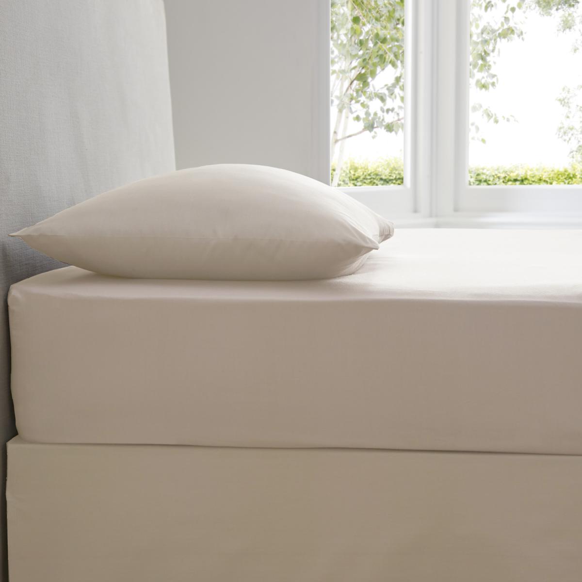 Plain Dyed Fitted Sheet - Blue / King – image 4