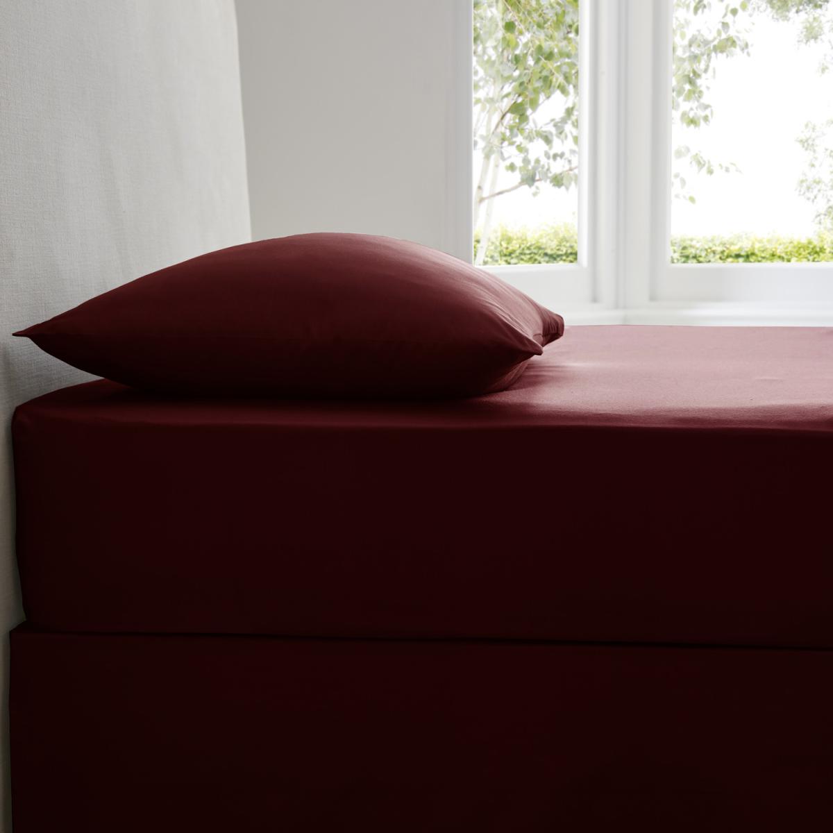 Plain Dyed Fitted Sheet - Blue / King – image 6