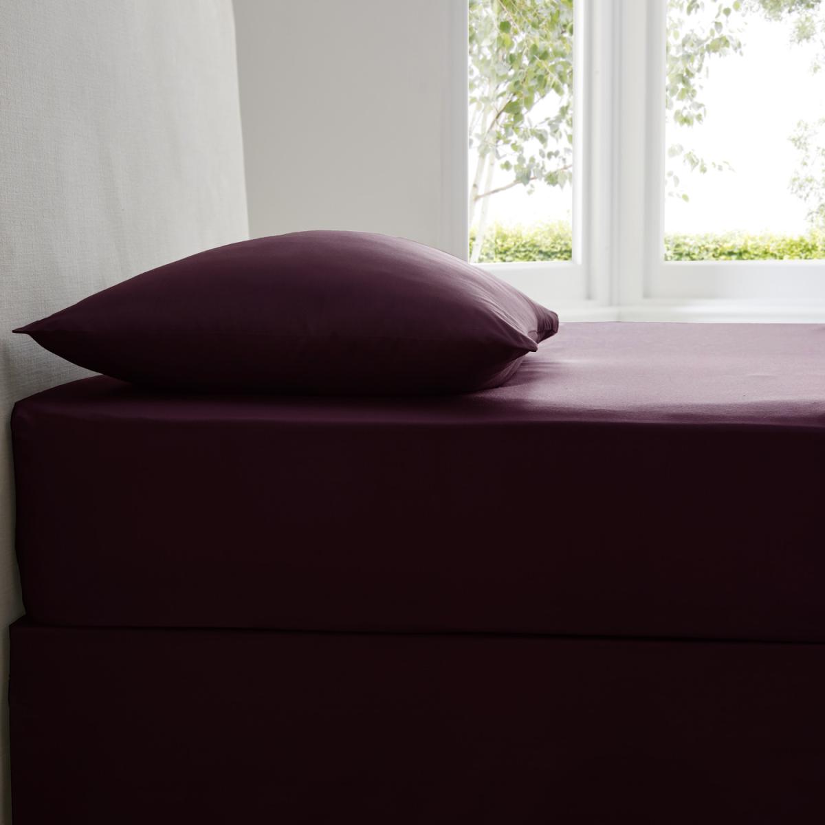 Plain Dyed Fitted Sheet - Blue / King – image 9