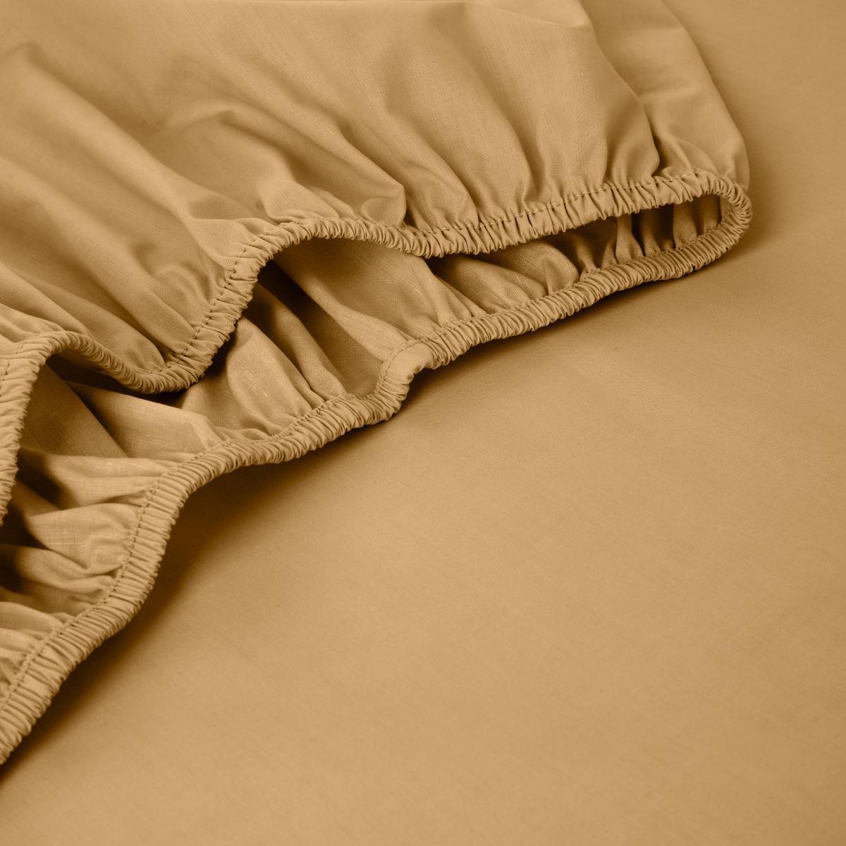 Pure Cotton Fitted Sheet Honey – image 3