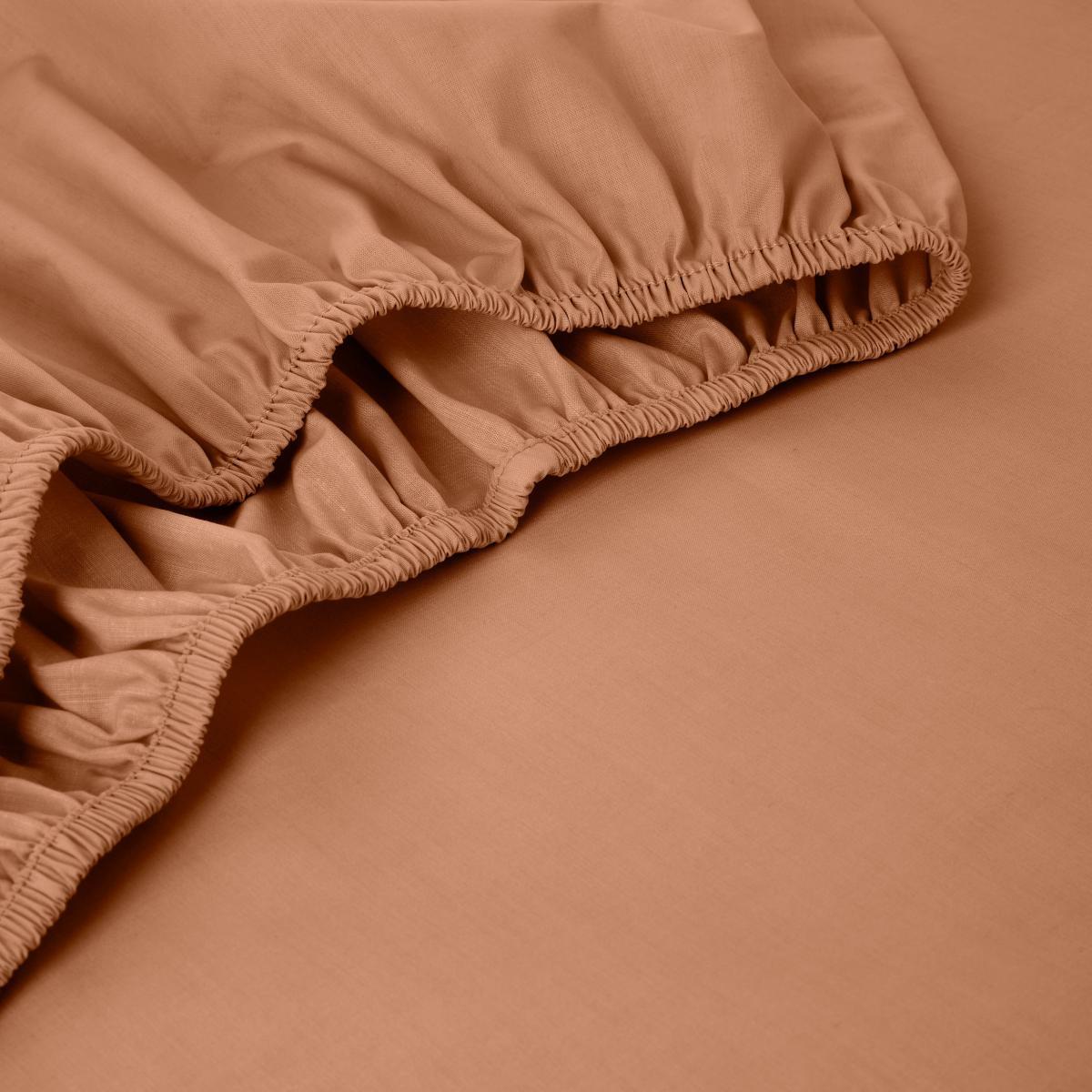Pure Cotton Fitted Sheet Butterscotch (Orange) – image 3