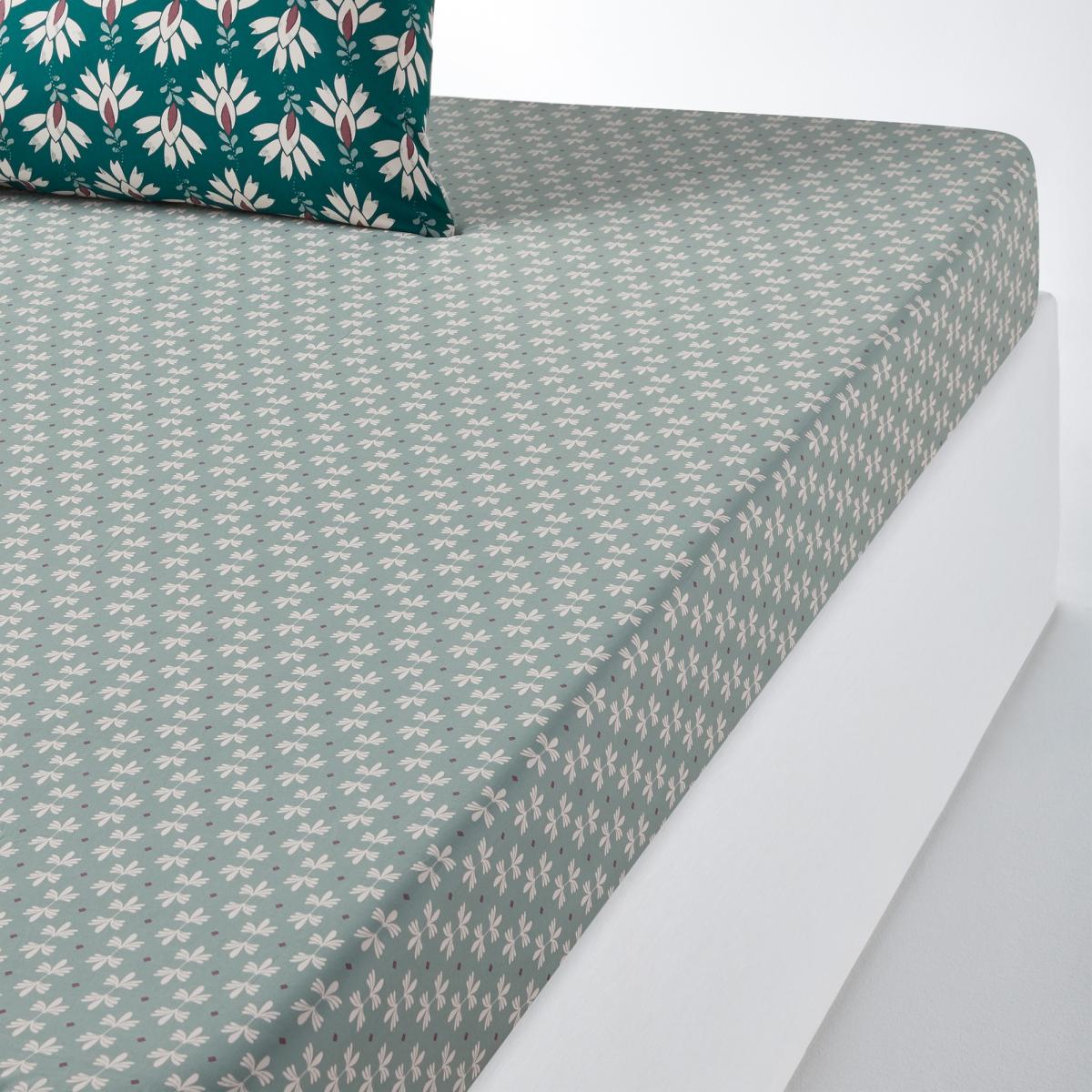 DAYA Floral Cotton Percale Fitted Sheet