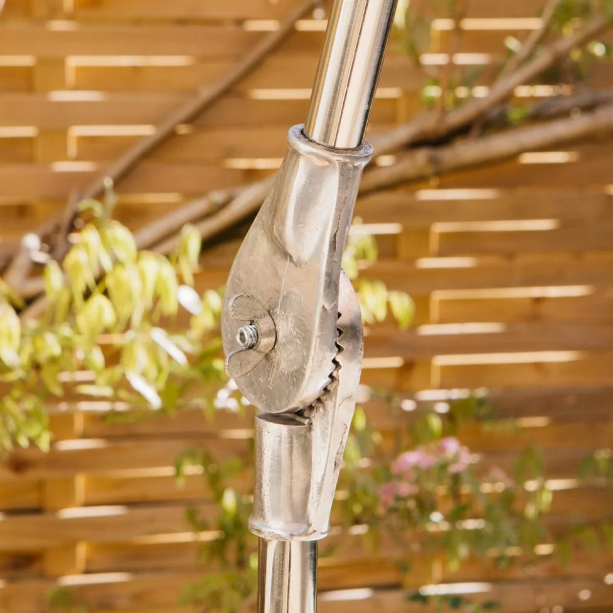 Firuza Parasol – image 5