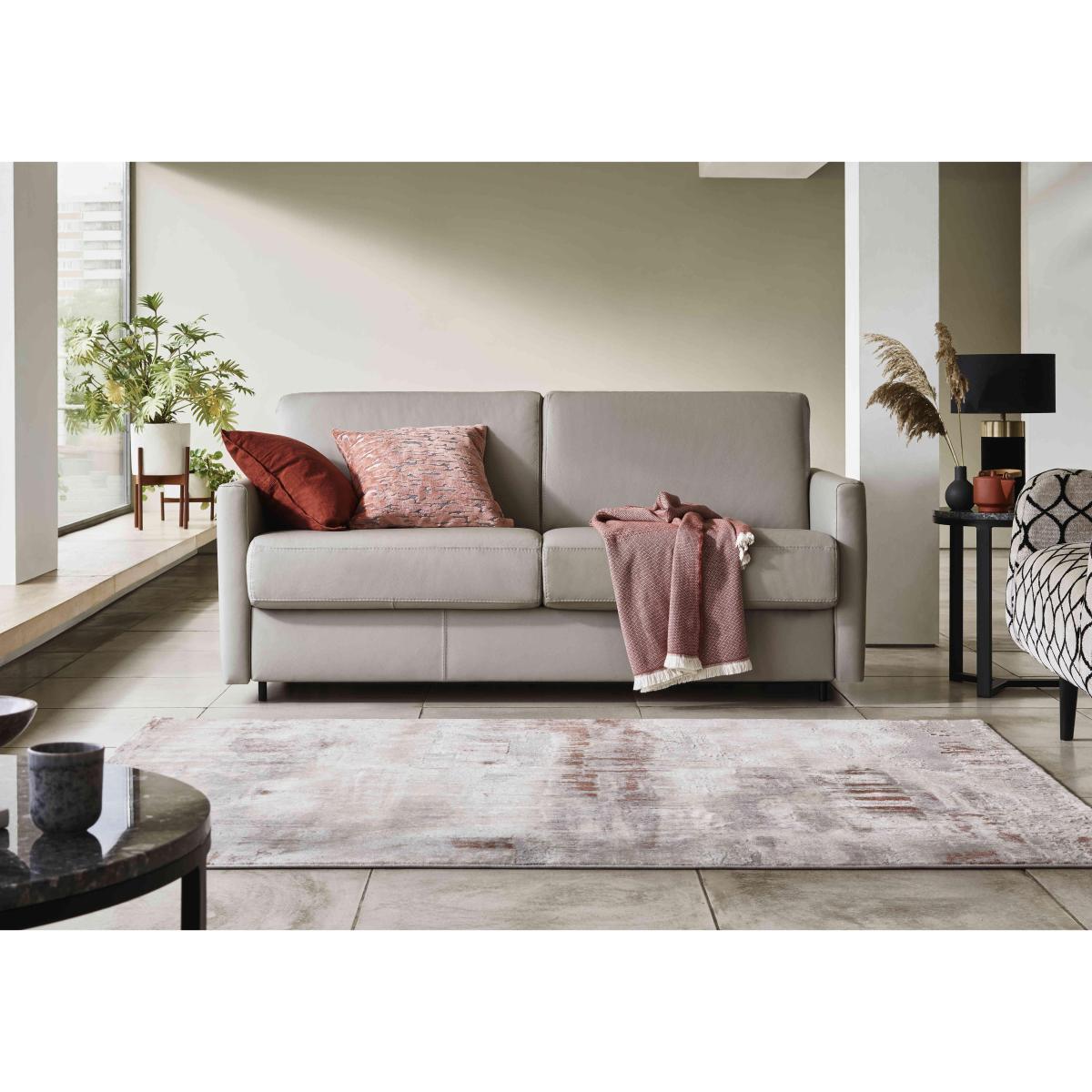 Nicoletti - Alcova 2.5 Seater Leather Sofa Bed with Slim Arms - Dali Tortora – image 2