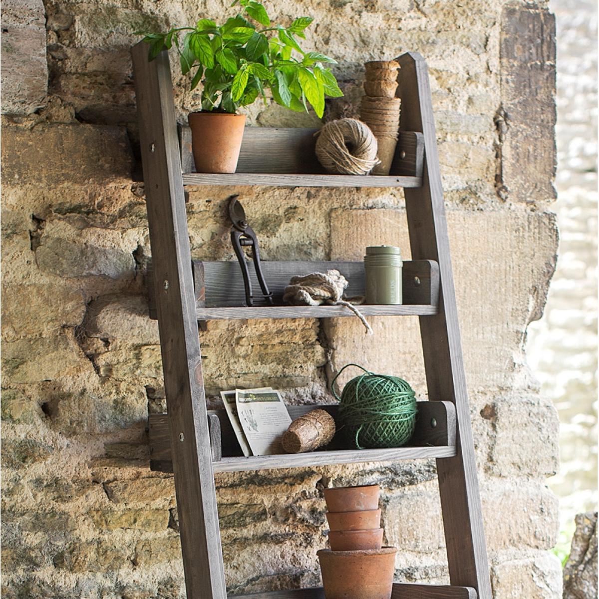 Garden Trading Aldsworth Narrow Wooden Ladder Shelf – image 3