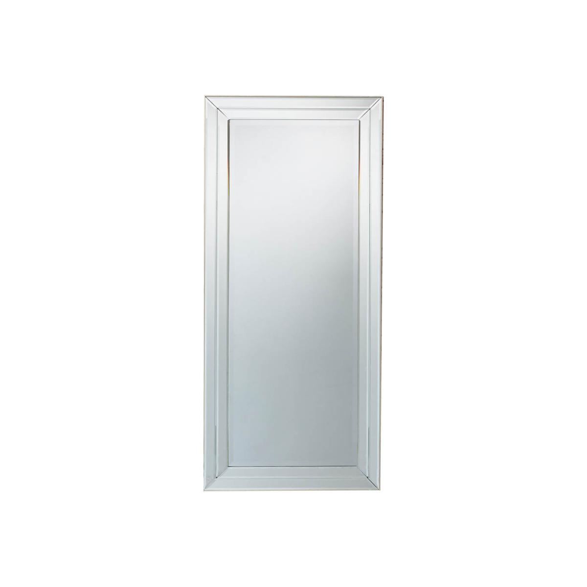 Roswell Large Rectangle Full Length Mirror - Champagne – image 1