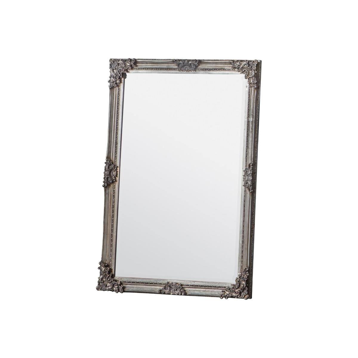 Fiennes 70x103cm Champagne Mirror – image 1