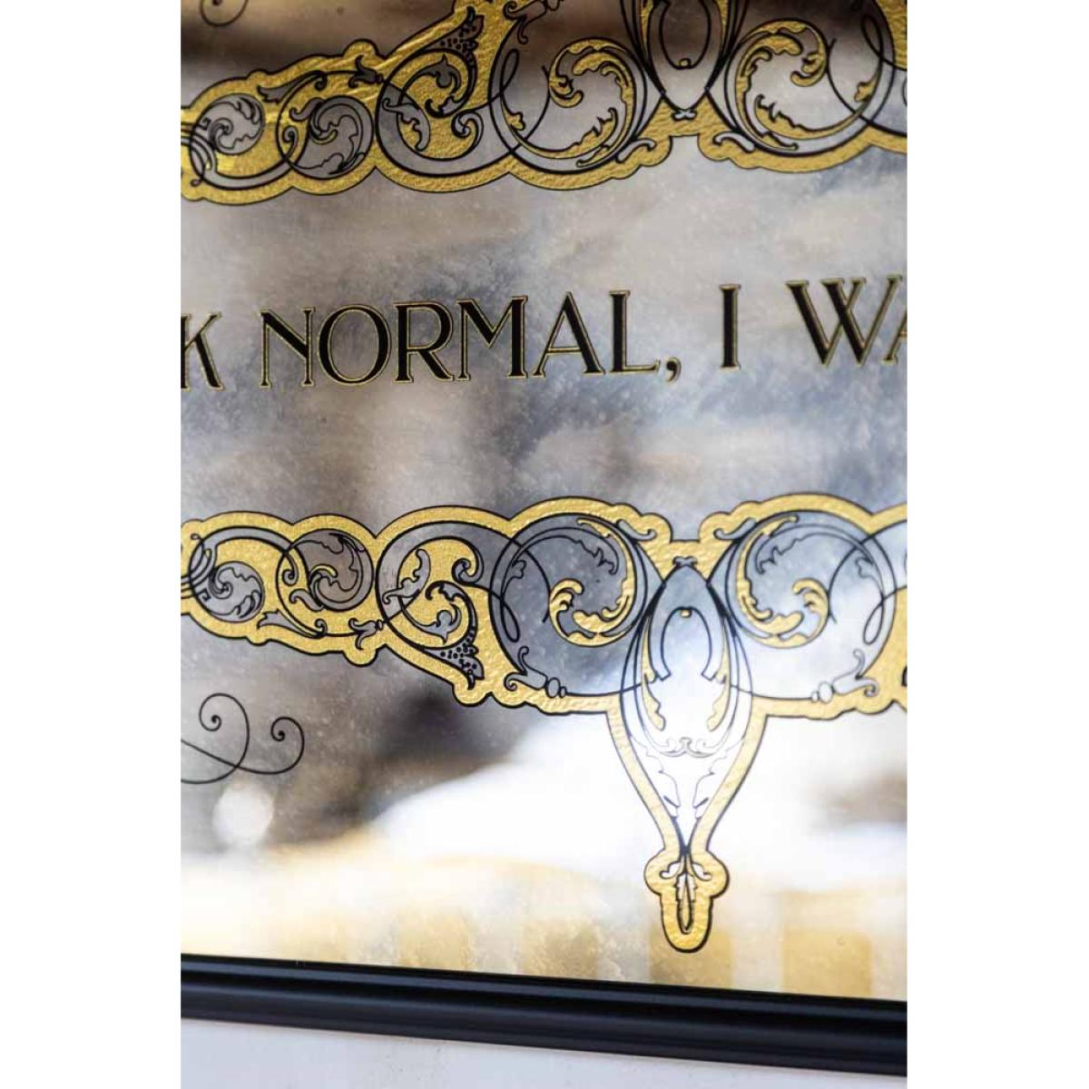 Fuck Normal, I Want Magic Mirror – image 5