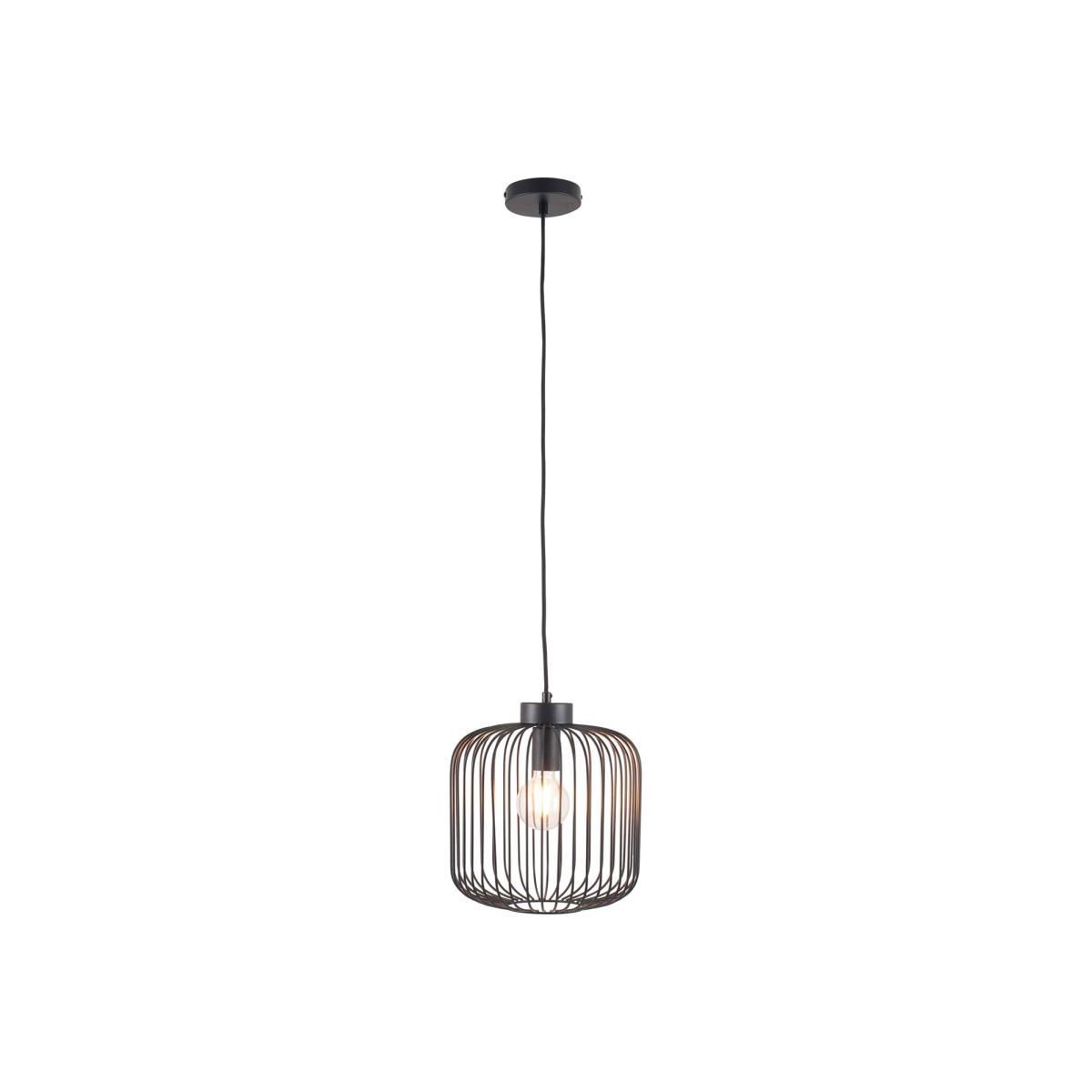 Metal Wire Pendant Light, Matt Black