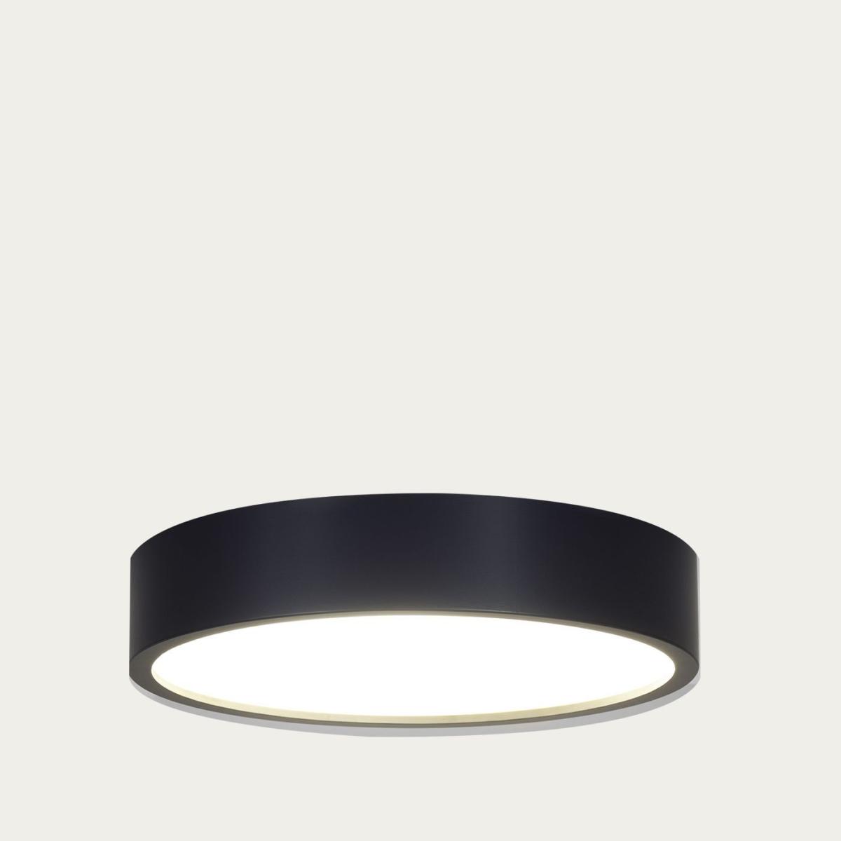 Anthracite Zuwa Wood Ceiling and Wall Light - L – image 3
