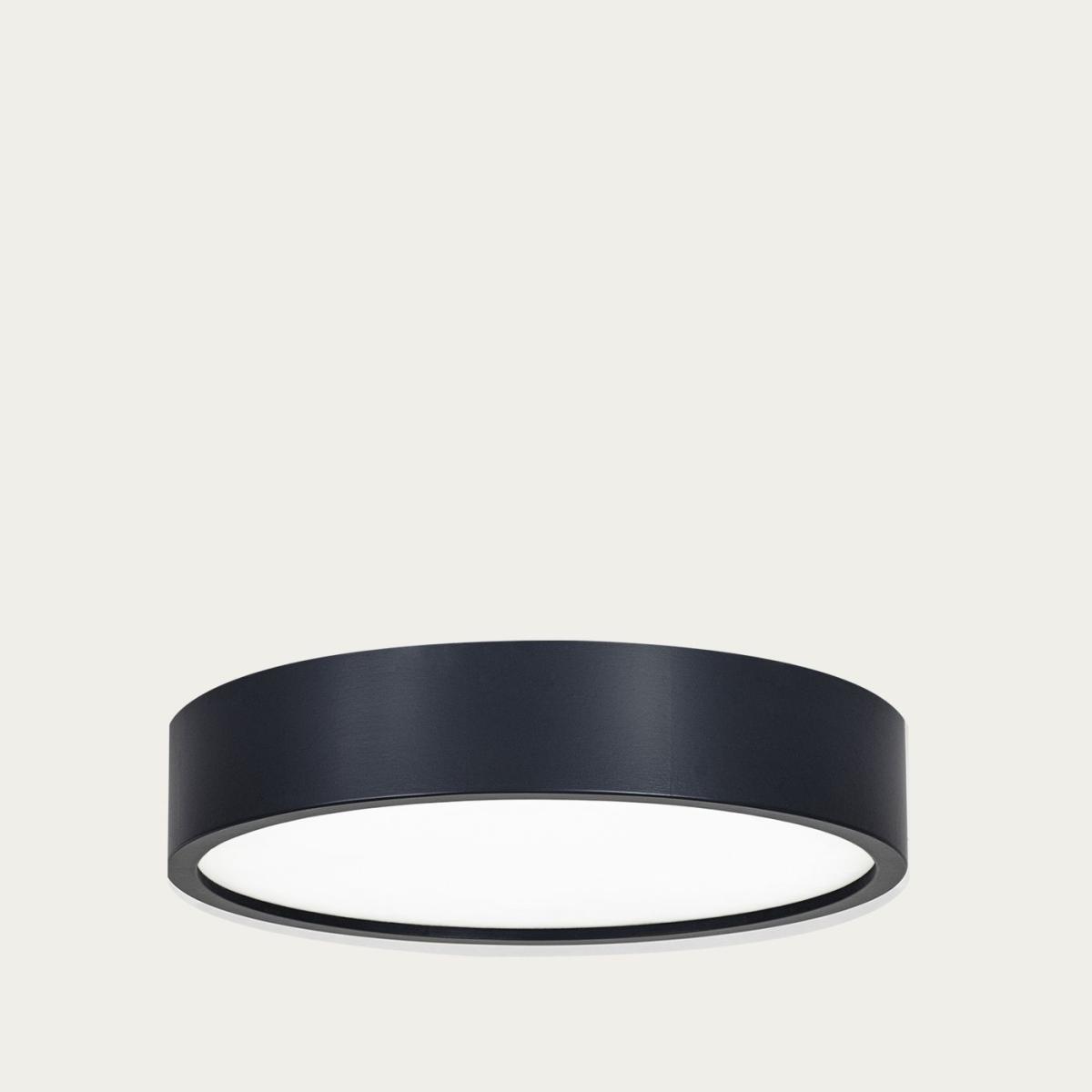 Anthracite Zuwa Wood Ceiling and Wall Light - L – image 1