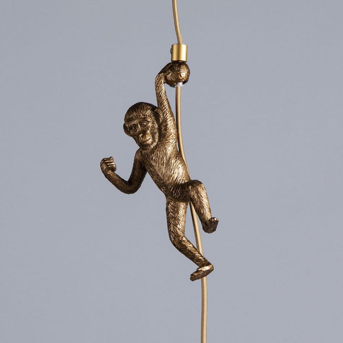 Mason & Jason Monkeys Ceiling Pendant, Brass – image 5
