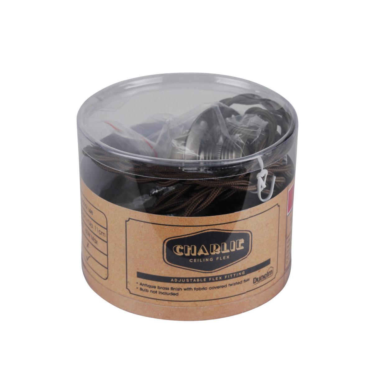 Charlie Chrome Twisted Flex Ceiling Fitting Silver – image 2