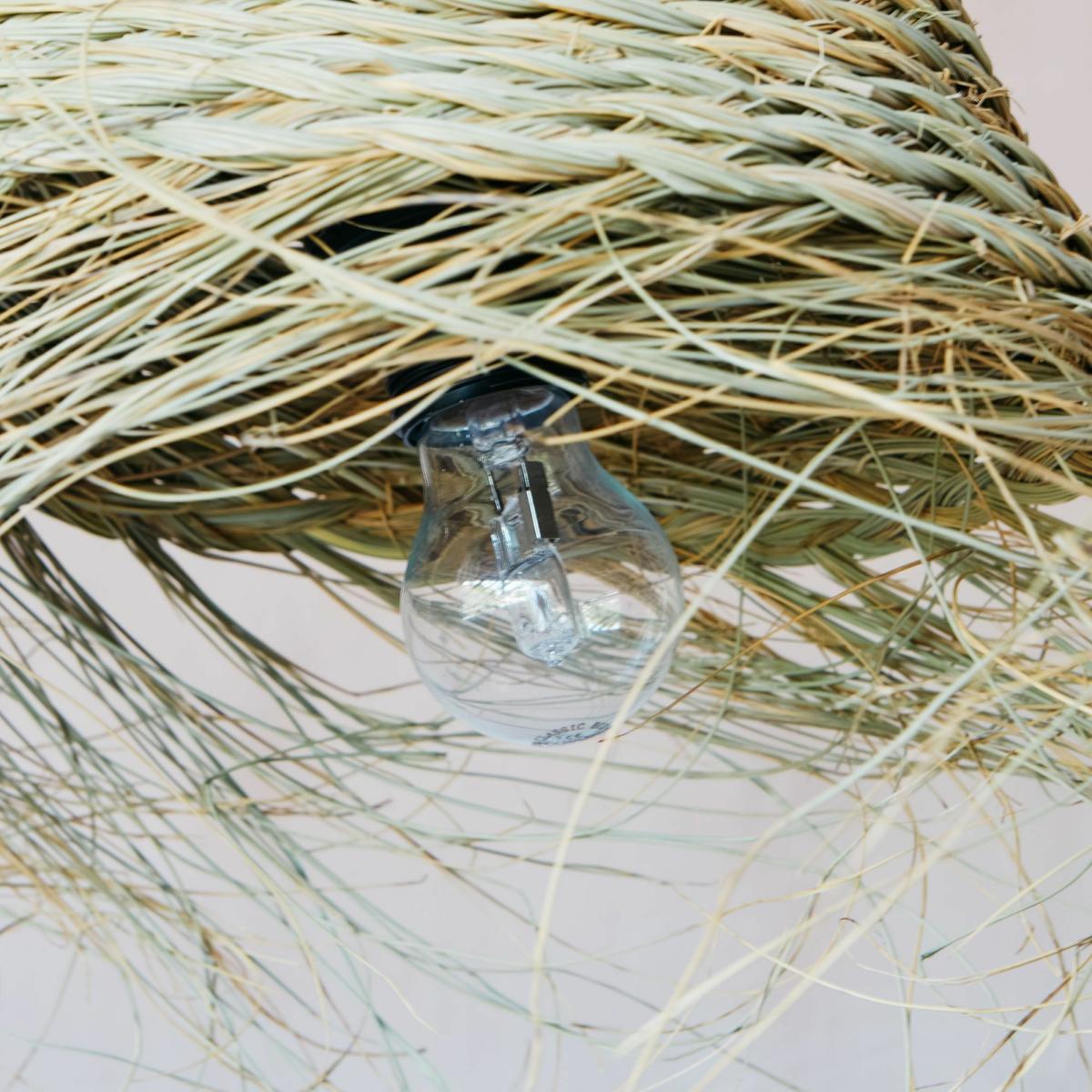 Palm Leaves Shade – image 2