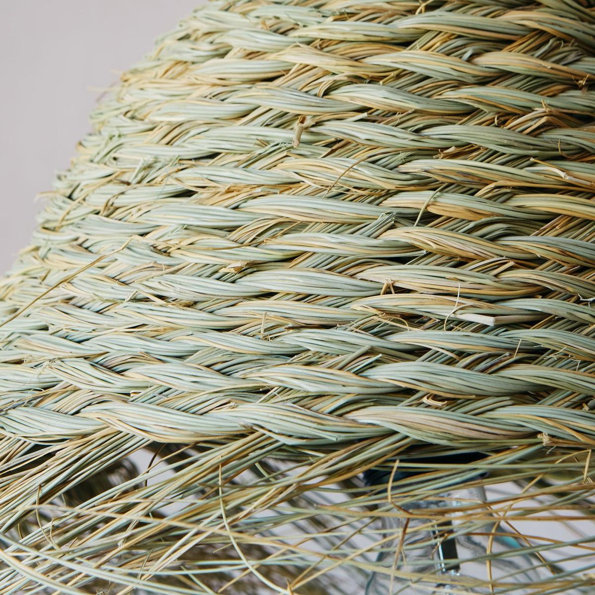 Palm Leaves Shade – image 3