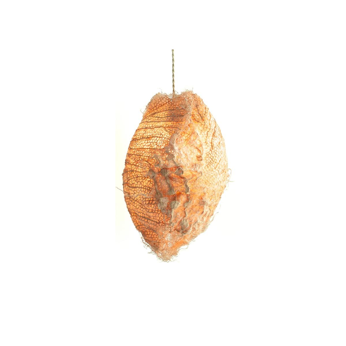 Rootfull Root Pod Pendant Large Natural – image 2