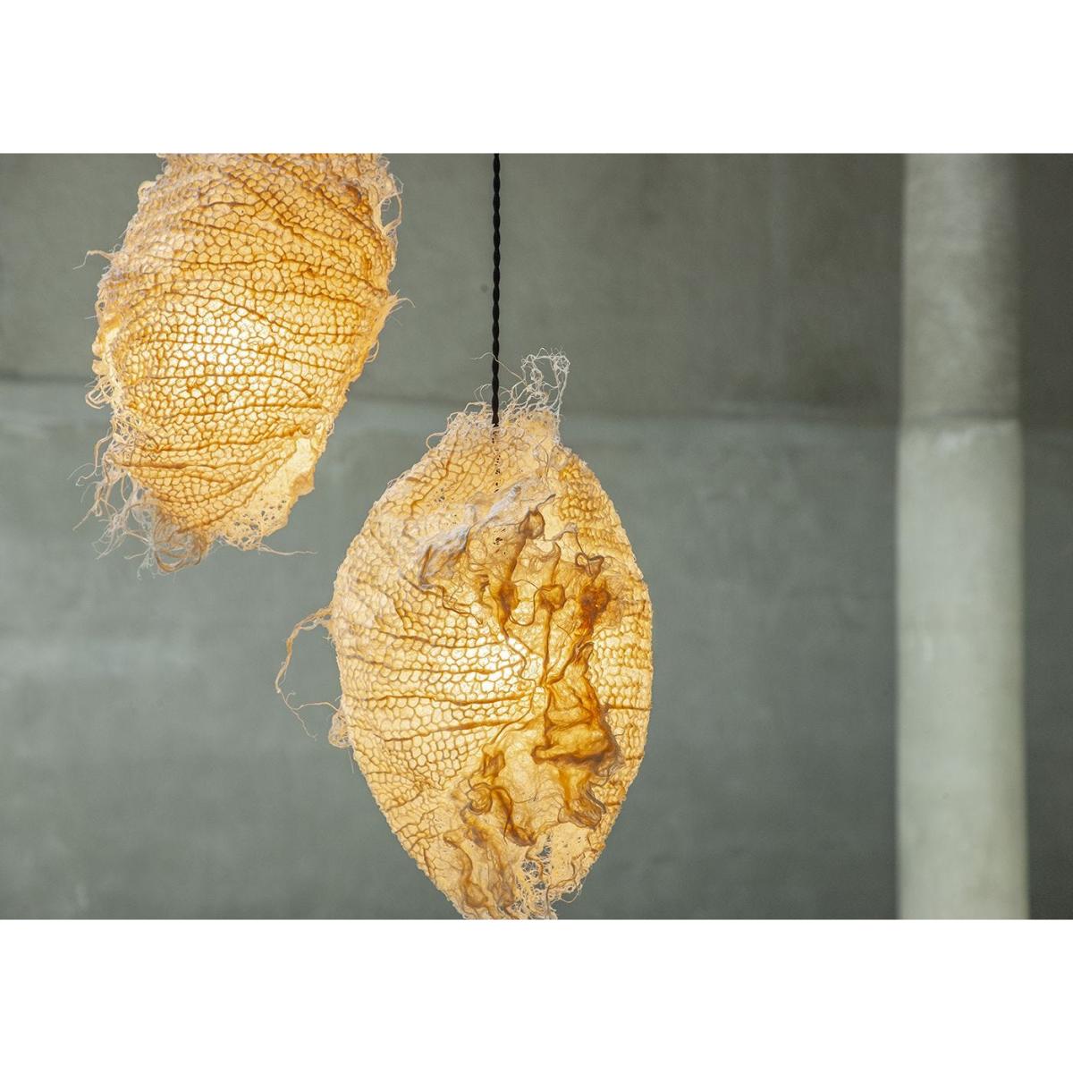 Rootfull Root Pod Pendant Large Natural – image 4