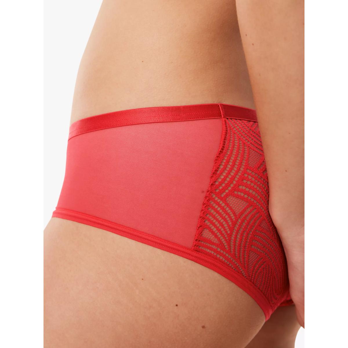 Triumph Delightful Spotlight Hipster Knickers – image 3