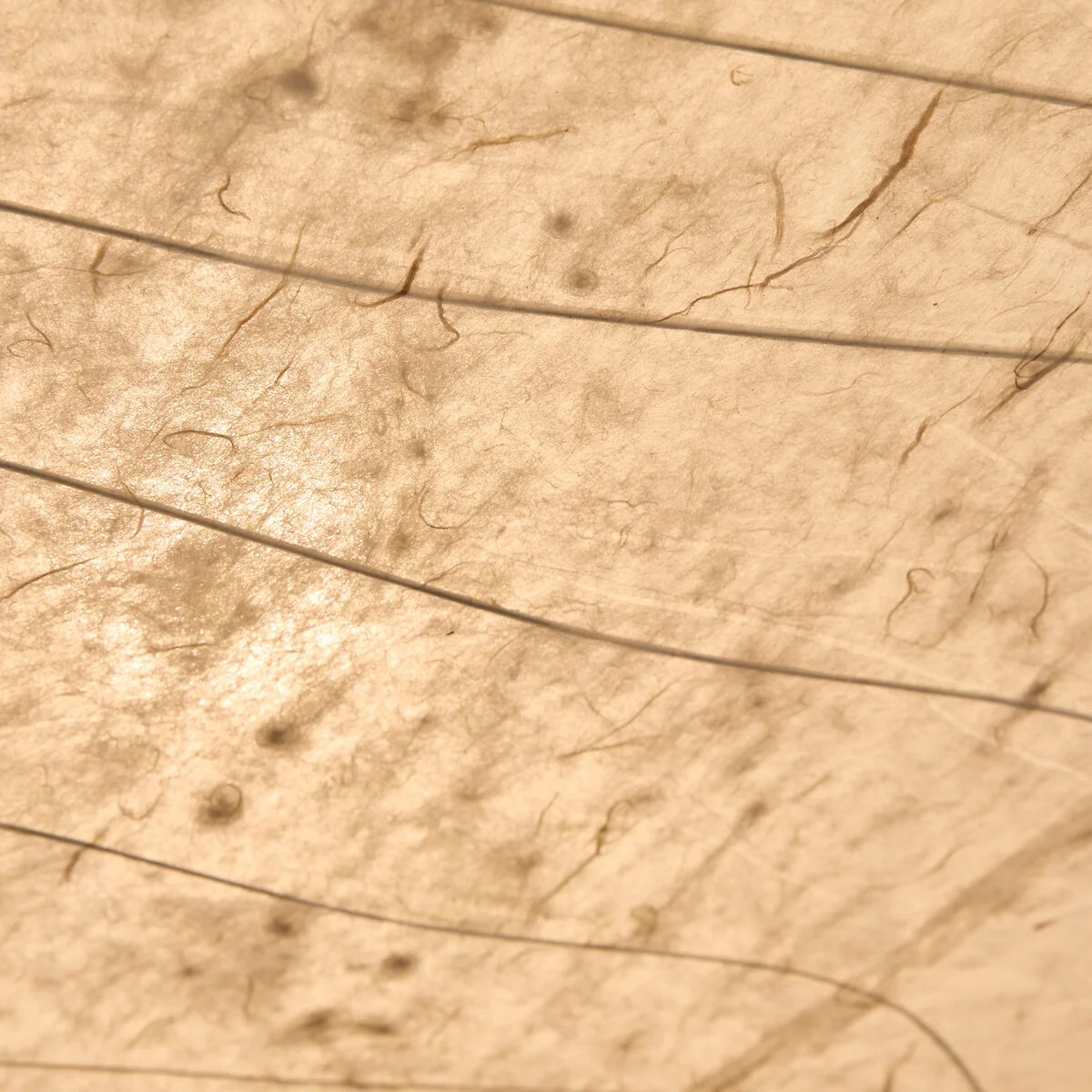 Nassah Pendant Light in Textured Paper, Diameter 91cm – image 6