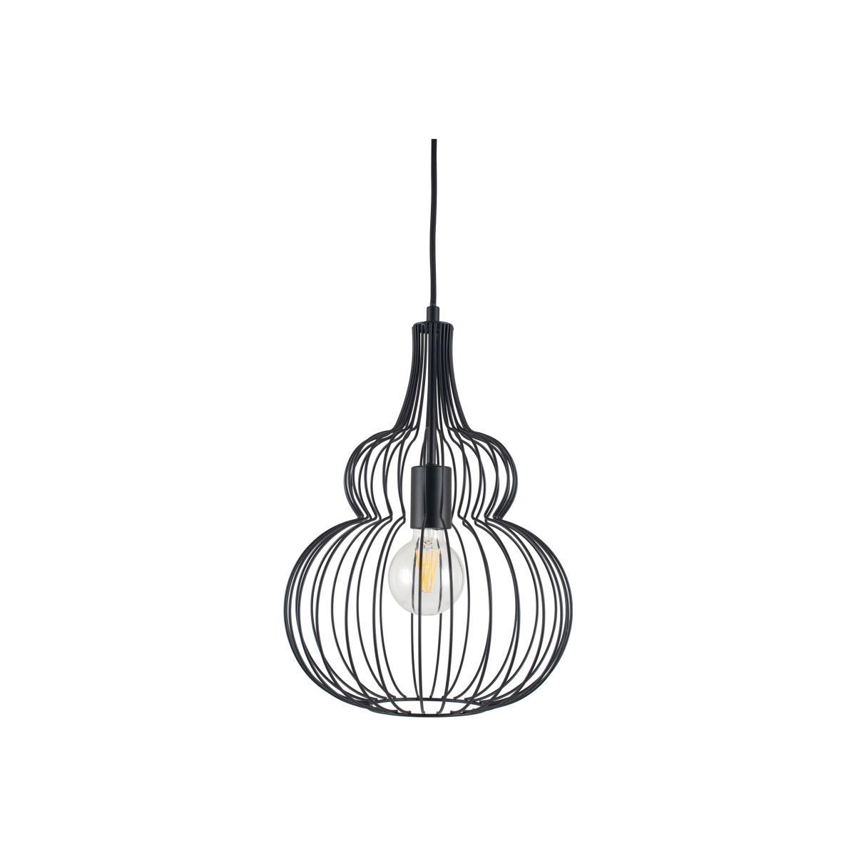Matt Black Metal Wire Cage with Exposed Bulb Pendant Ceiling Light