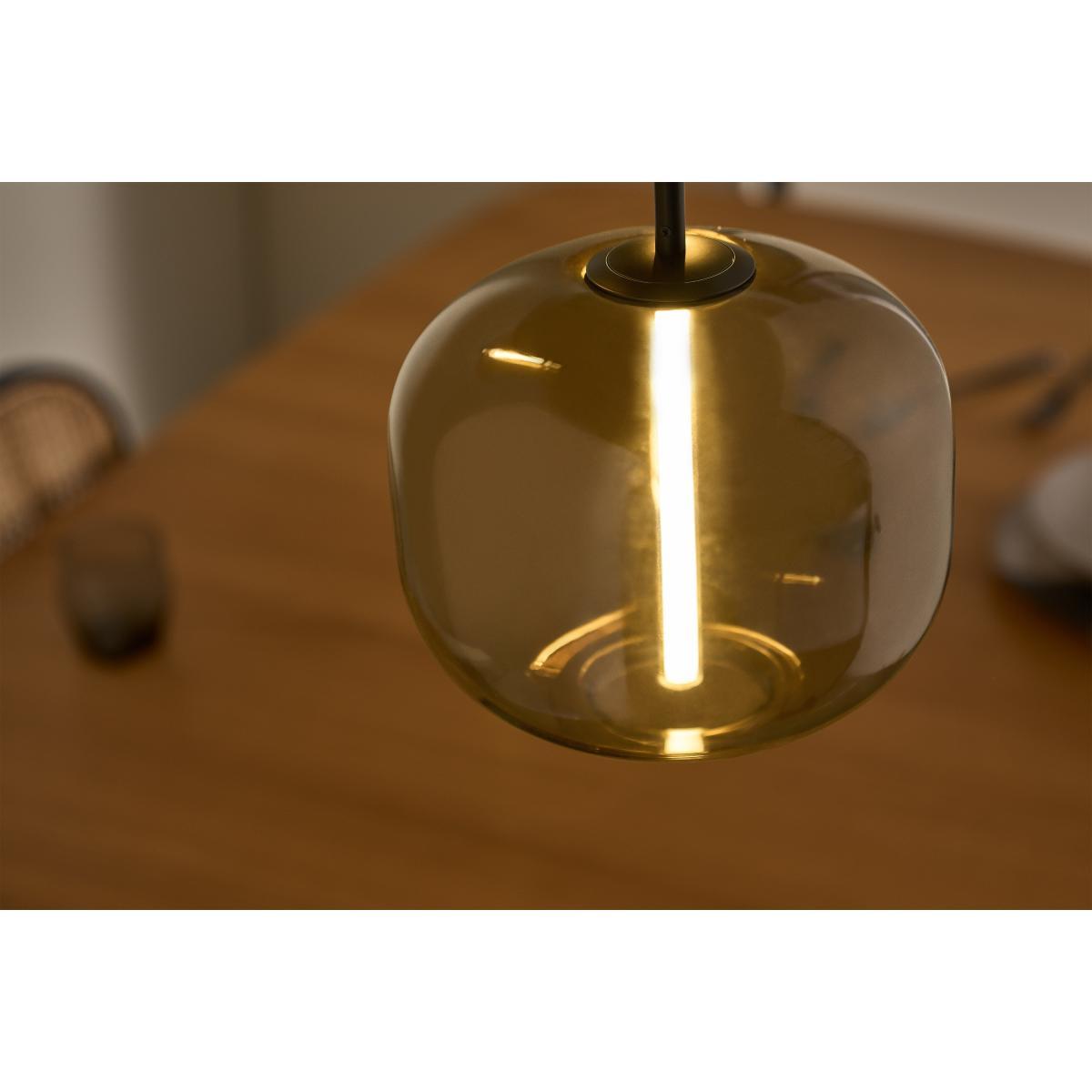 Olney Cluster Pendant Lamp, Champagne Glass & Matte Black Metal – image 4