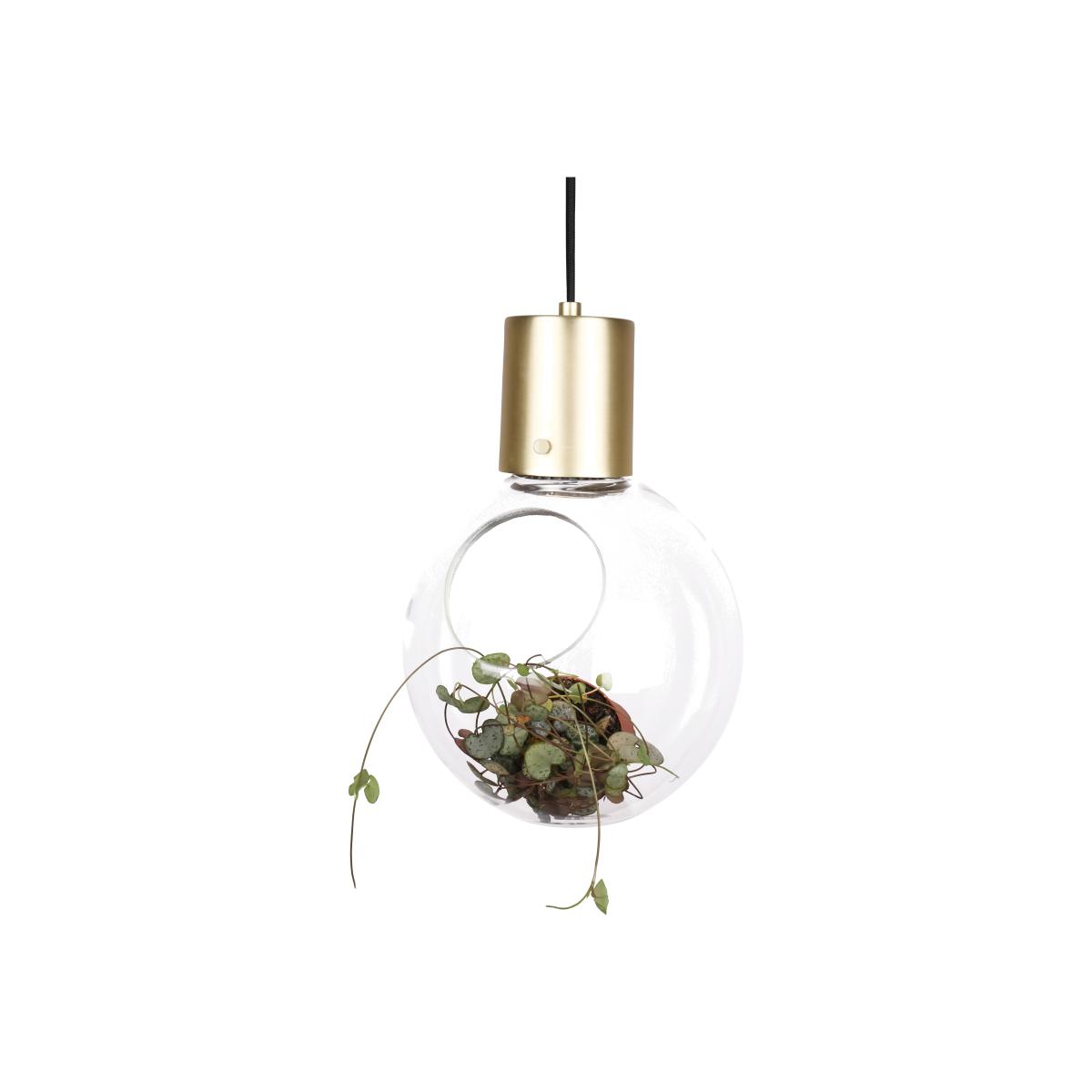 Mini Hole ceiling lamp clear-brass
