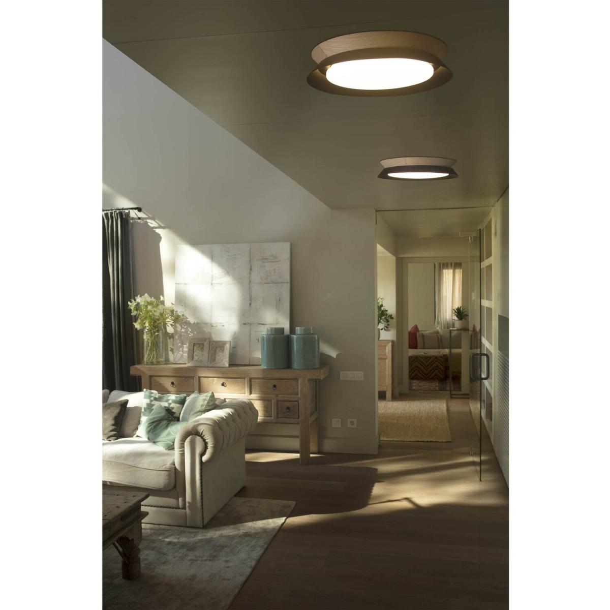 Tender Led Flush Ceiling Lamp Black 24W 3000K - Black – image 2
