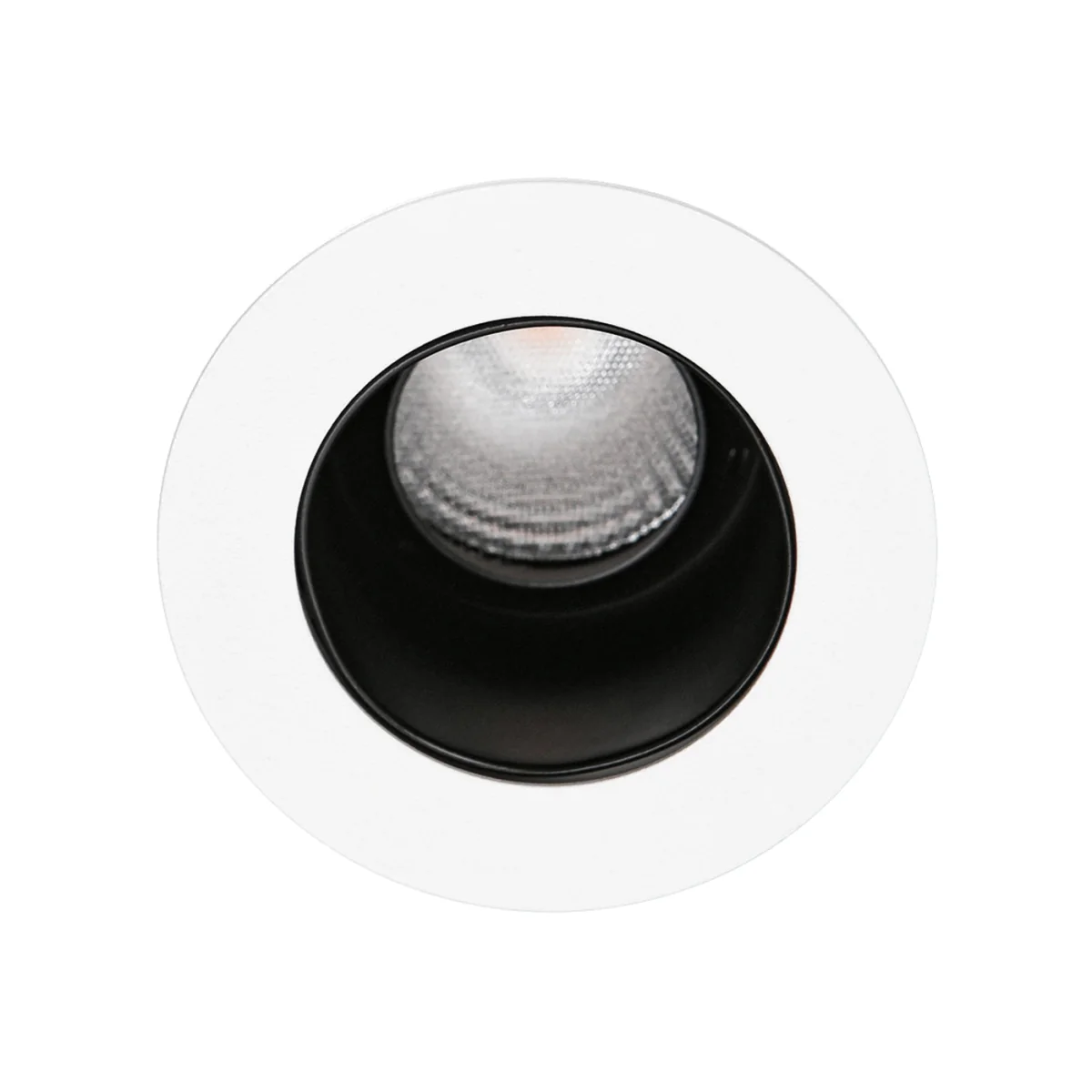 Intro Spotlight White - White