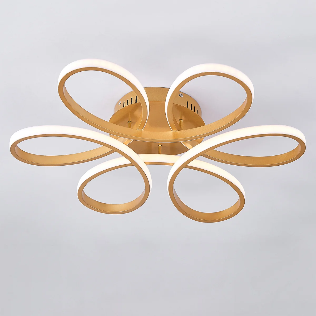 Modern Acrylic Petal LED Semi Ceiling Light with Border - Gold – image 1